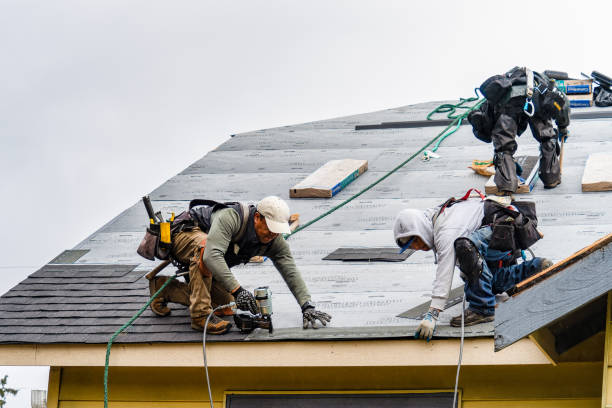 Professional Roof Replacement technician working in Mathews, VA